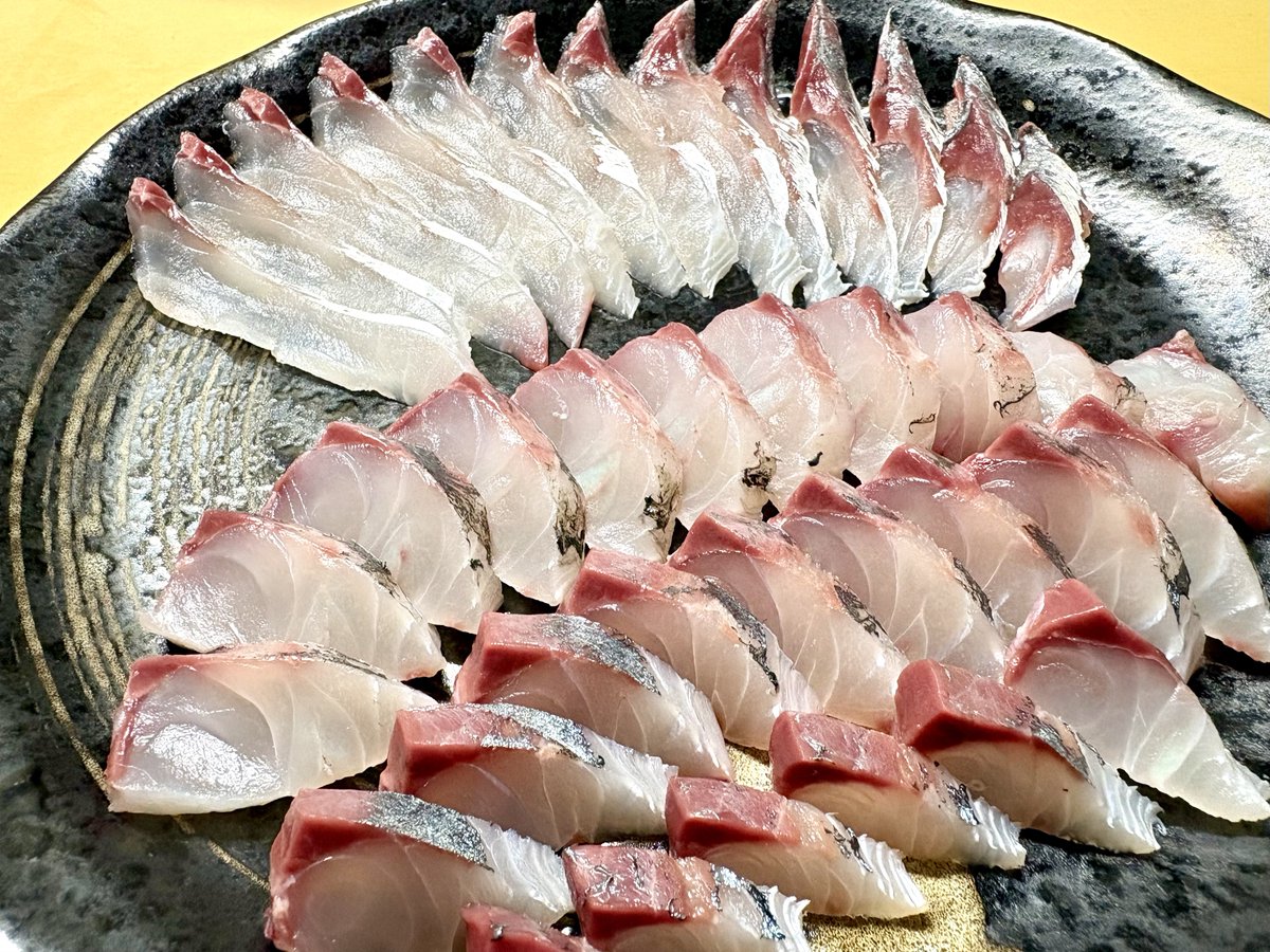tanumaFuku's tweet photo. 仙台湾で釣ったアジ、45センチもあったぞい🤩　東京湾の豚アジ��比べるとちょっと体高が低いかな。
半身でお刺身作ってもこんなにたくさんとれた。大根や大葉などは敷かずに直盛りスタイル🐟
脂はあまりなく、味は東京湾のほうが上かなぁ🤔 https://t.co/dXAFV5lDHe