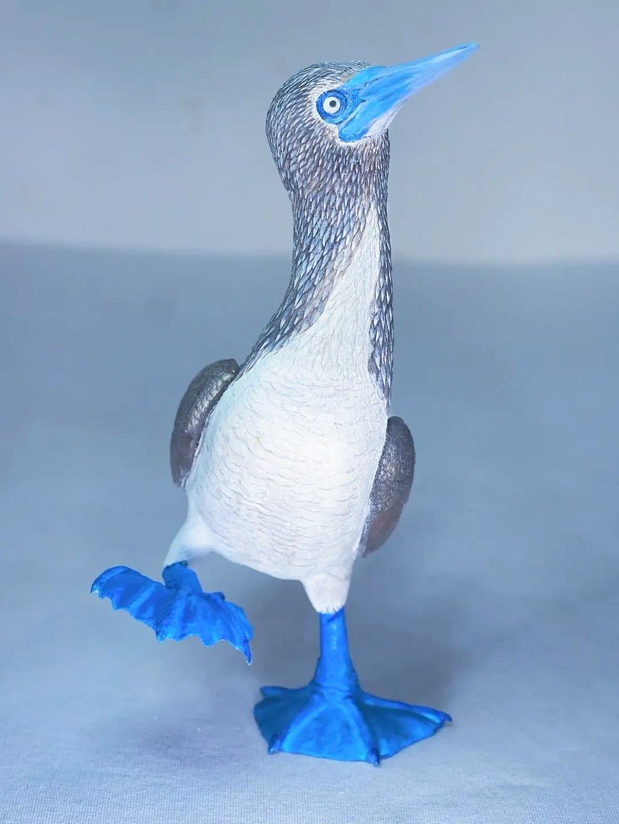 fekadoanzu's tweet photo. 瀬戸内市立美術館　門永哲郎展出品作品より。
アオアシカツオドリ。
脚が青ければ青いほどもてる‼️のだそうな（笑）
牛窓の青い空、青い海にも映えるかな。

#木彫
#アオアシカツオドリ
#瀬戸内市立美術館 https://t.co/mXLh6oxBG5