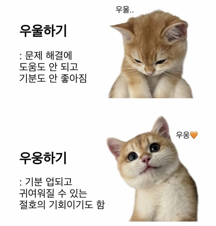 mymemeboxx's tweet photo. https://t.co/qzBXxxzV9U