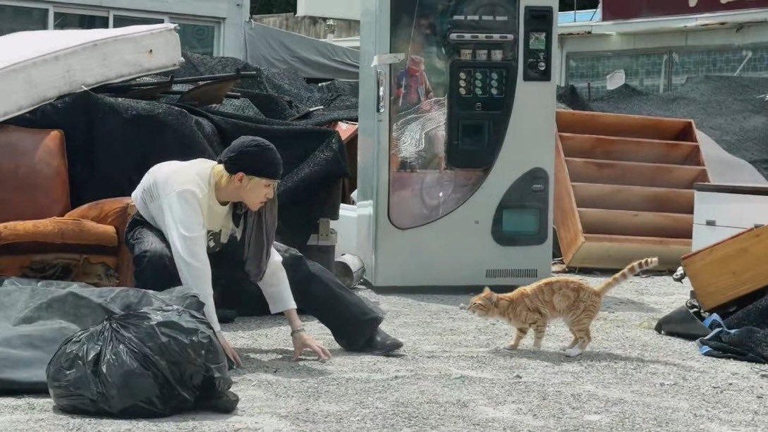02lbvm's tweet photo. 링냥이 넘넘 귀여워... https://t.co/TJKcg423sM