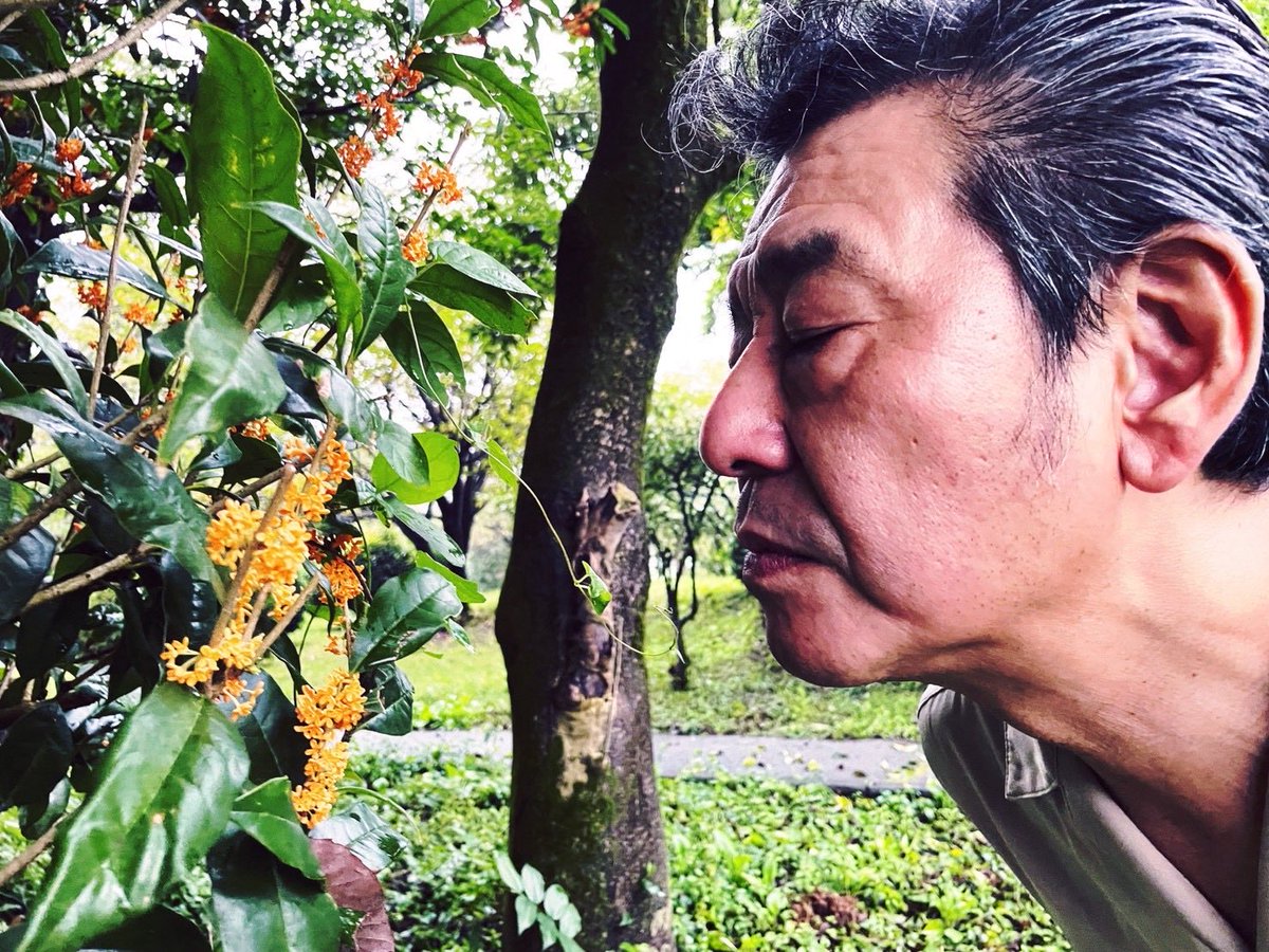 DonCarlosV3's tweet photo. 花とおじさん https://t.co/rVFKcbU4p5