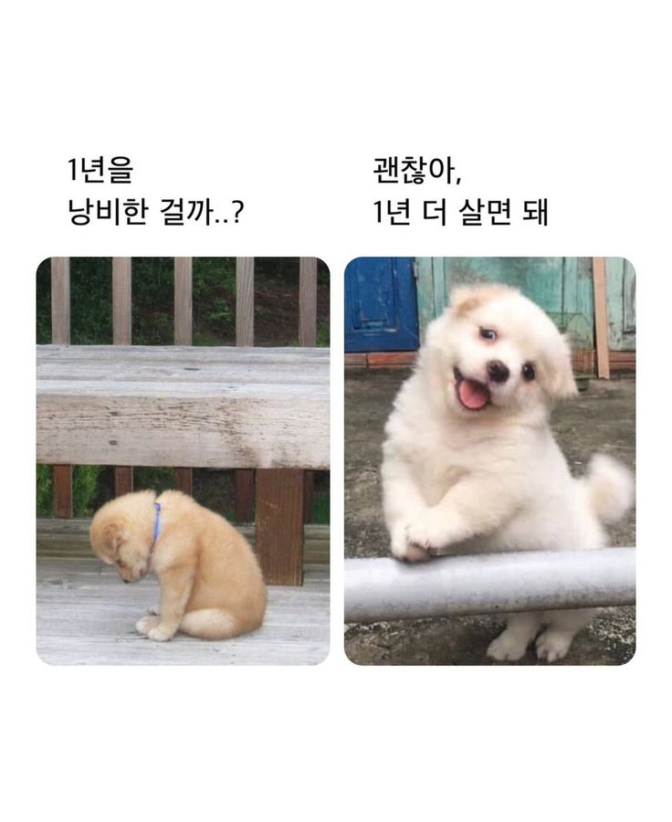 mymemeboxx's tweet photo. 이게마즘 https://t.co/wIjEEMPQWK