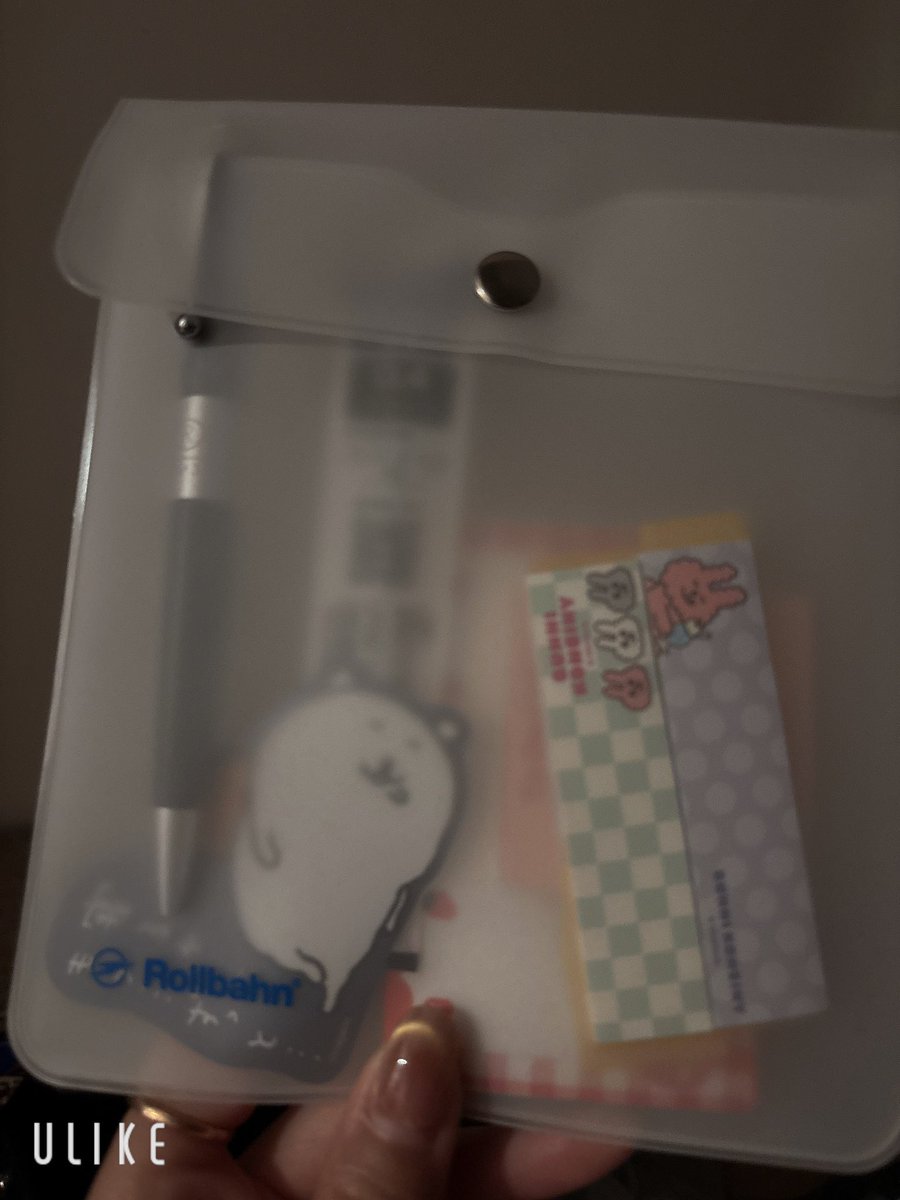 aimirurui's tweet photo. そしてクリアポーチ(？)も一緒に買ったが、付箋やらなんやらをしまうようにした。 https://t.co/zwwNFHQqcc