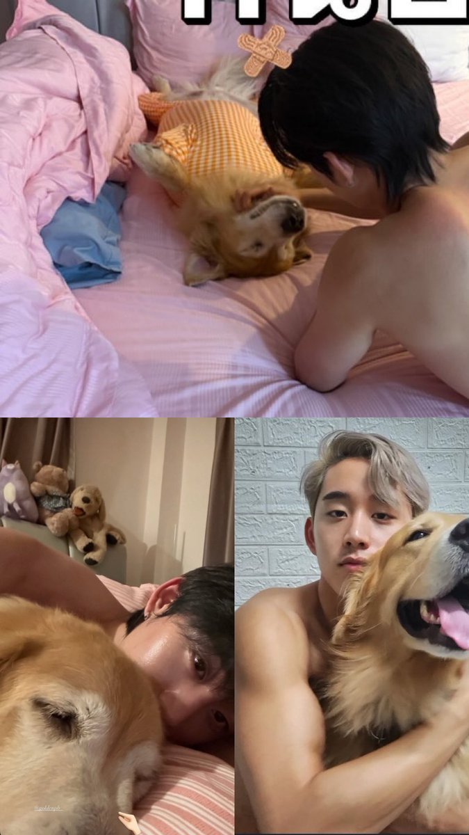 estsuphabestboy's tweet photo. I could never be jealous of a dog. I’m lying.

#est_rvp https://t.co/6j4MO9eoYt