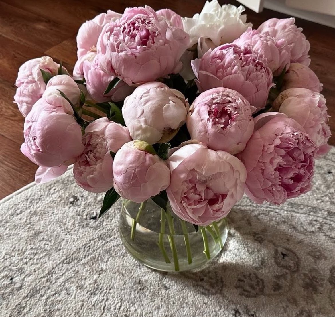 moonieaura's tweet photo. Peonies or Lilies https://t.co/qAsi7RavtV