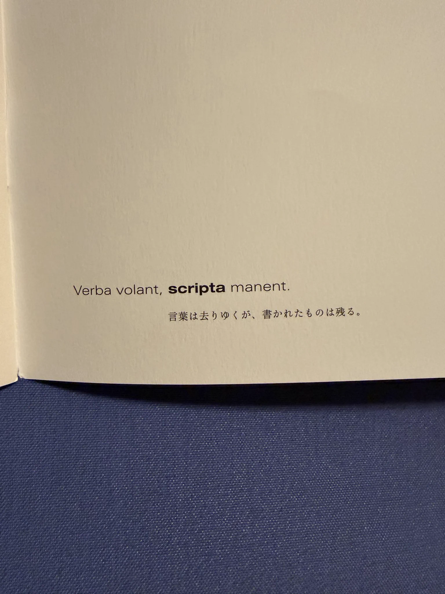 紀伊國屋書店 scripta スクリプタ spring2015 フクチマミ on X: 