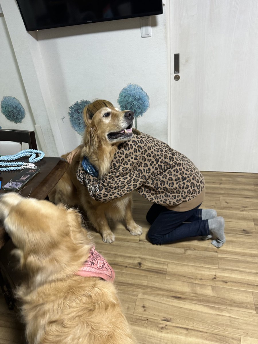 goeandyume's tweet photo. 福岡から帰ってきました🏠
ひなちゃんラッキーちゃんとそらちゃんにまた会いたいですね。🤦🏻‍♀️💖 https://t.co/mfB707ELr6
