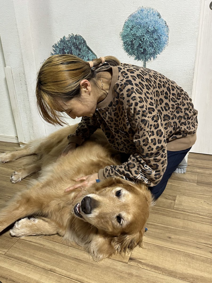 goeandyume's tweet photo. 福岡から帰ってきました🏠
ひなちゃんラッキーちゃんとそらちゃんにまた会いたいですね。🤦🏻‍♀️💖 https://t.co/mfB707ELr6
