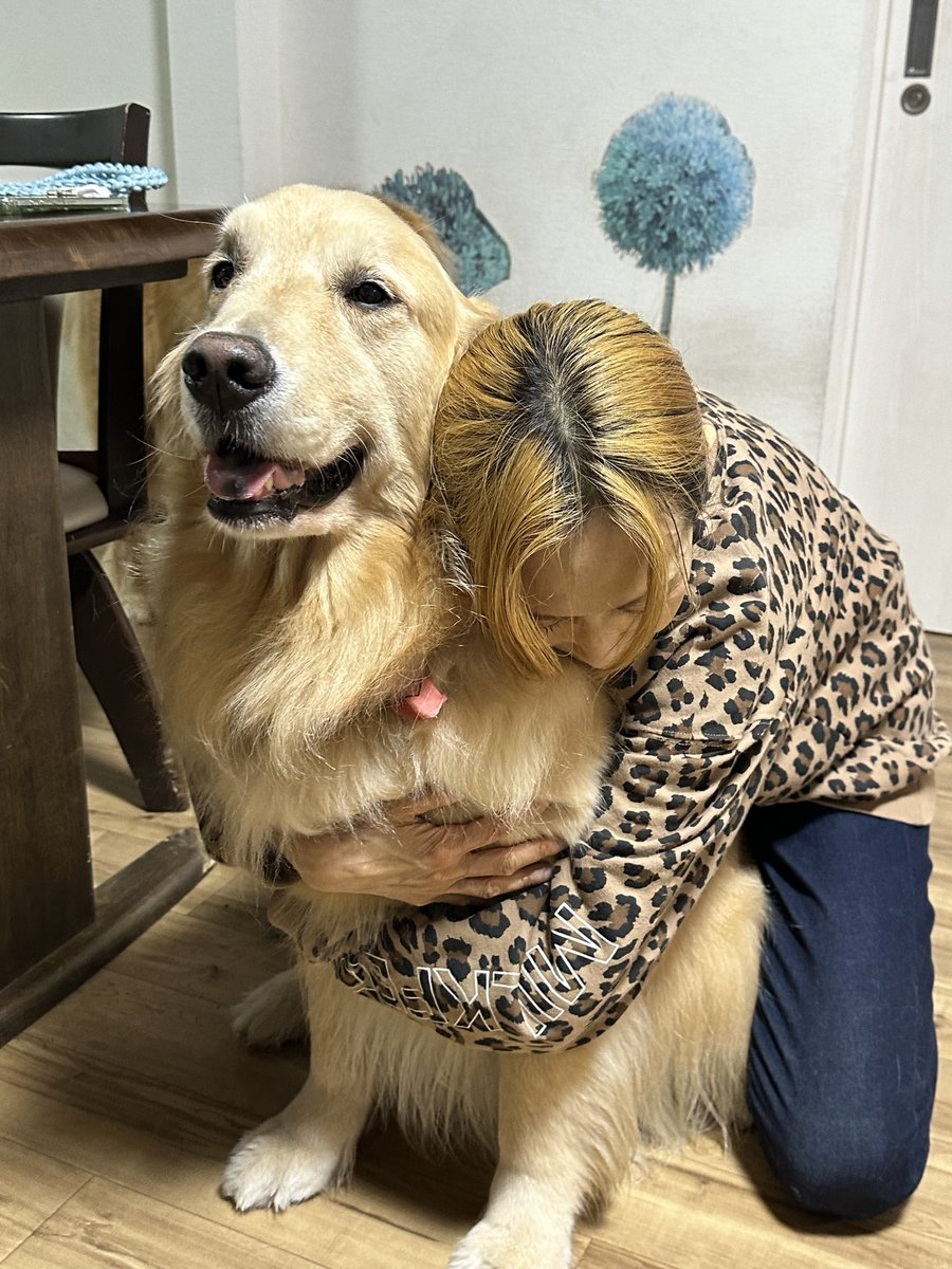 goeandyume's tweet photo. 福岡から帰ってきました🏠
ひなちゃんラッキーちゃんとそらちゃんにまた会いたいですね。🤦🏻‍♀️💖 https://t.co/mfB707ELr6