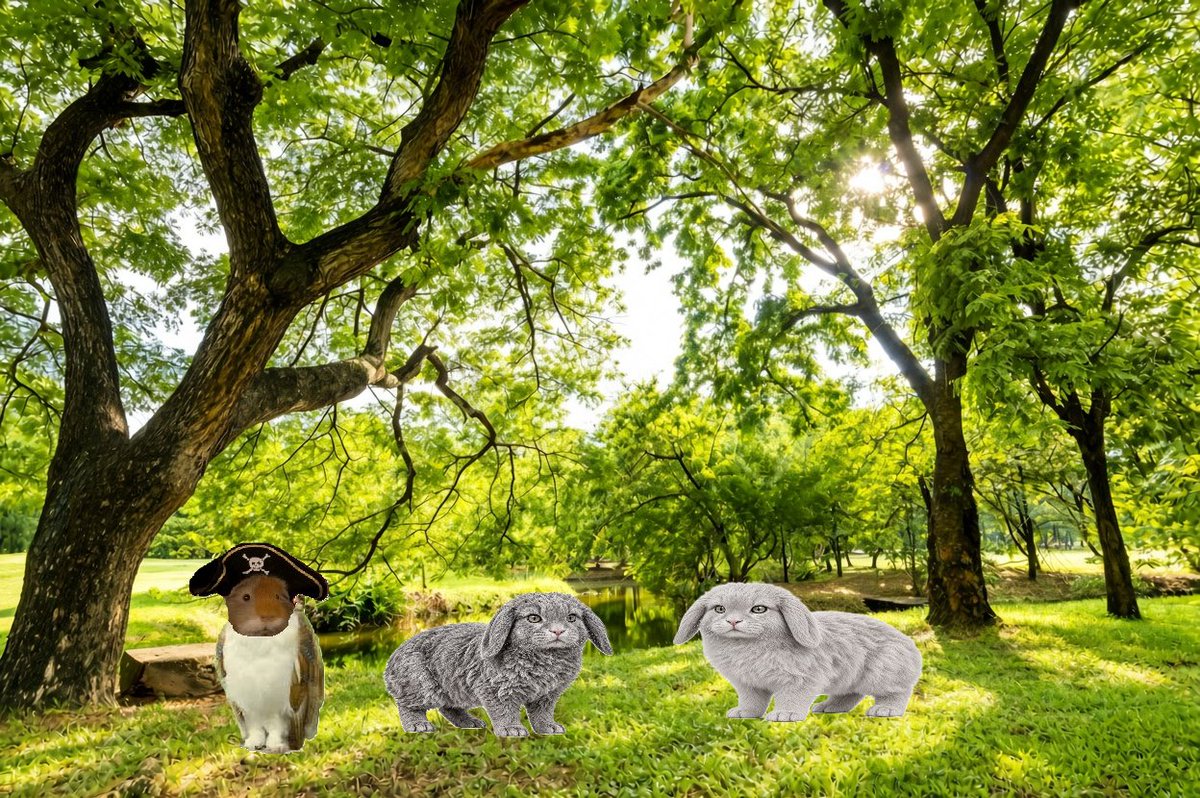 MattL_UK's tweet photo. It is Meowl o'clock!!!

Meowluinea pig meets the Cabbits!!! https://t.co/zoimQfBSUl