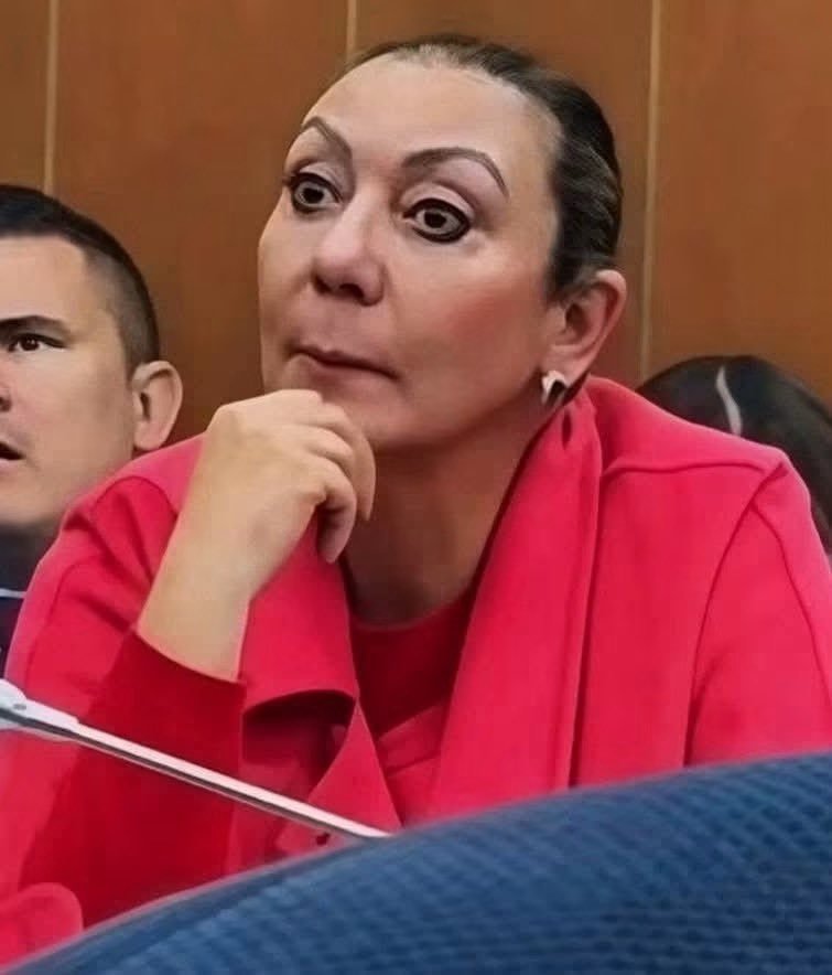 ladelsotano_'s tweet photo. Me invitaron a conocer a mi suegra, ojalá no joda mucho.

Mi suegra : https://t.co/yn2JLnsWte