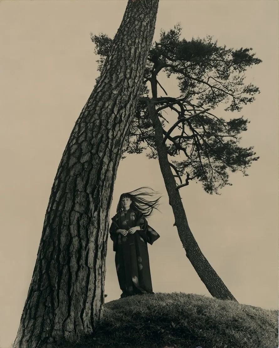 eyeonaxis's tweet photo. Between trees by Masao Yamamoto https://t.co/JOBLjZpEAz