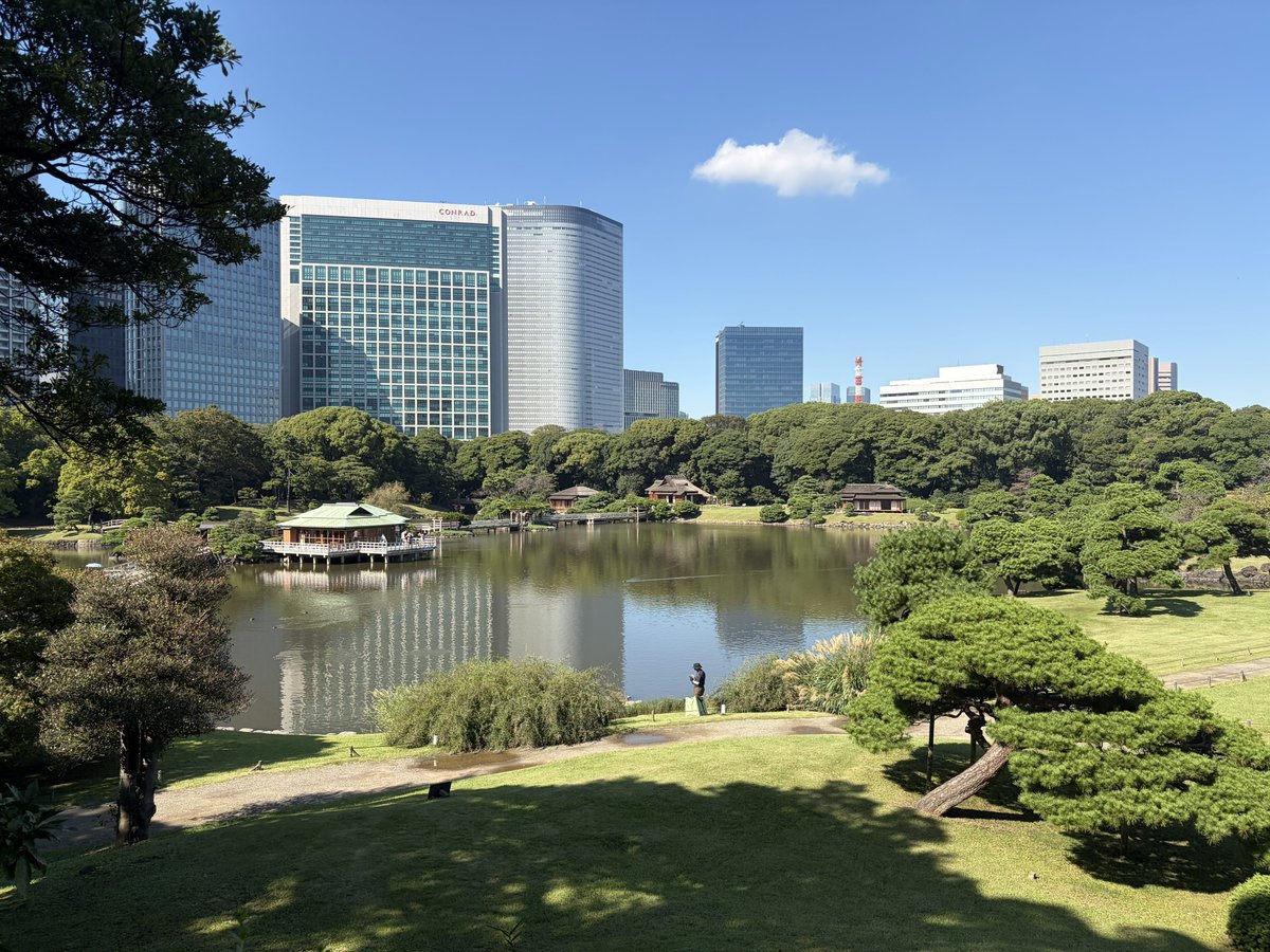 oshiruco0465's tweet photo. 先日のシルバーウィークに浜離宮恩賜庭園に行ってきました🙌
黄色のコスモス畑がとても綺麗でした🌼
都会の喧騒を忘れてのんびりお散歩できてよかったです
ただ天気が良すぎて汗だくになったので、涼みに入ったカフェのコーヒーフロートが特大でビックリしました😳
ヒンヤリして美味しかった〜☺️ https://t.co/W4znRZ85L5