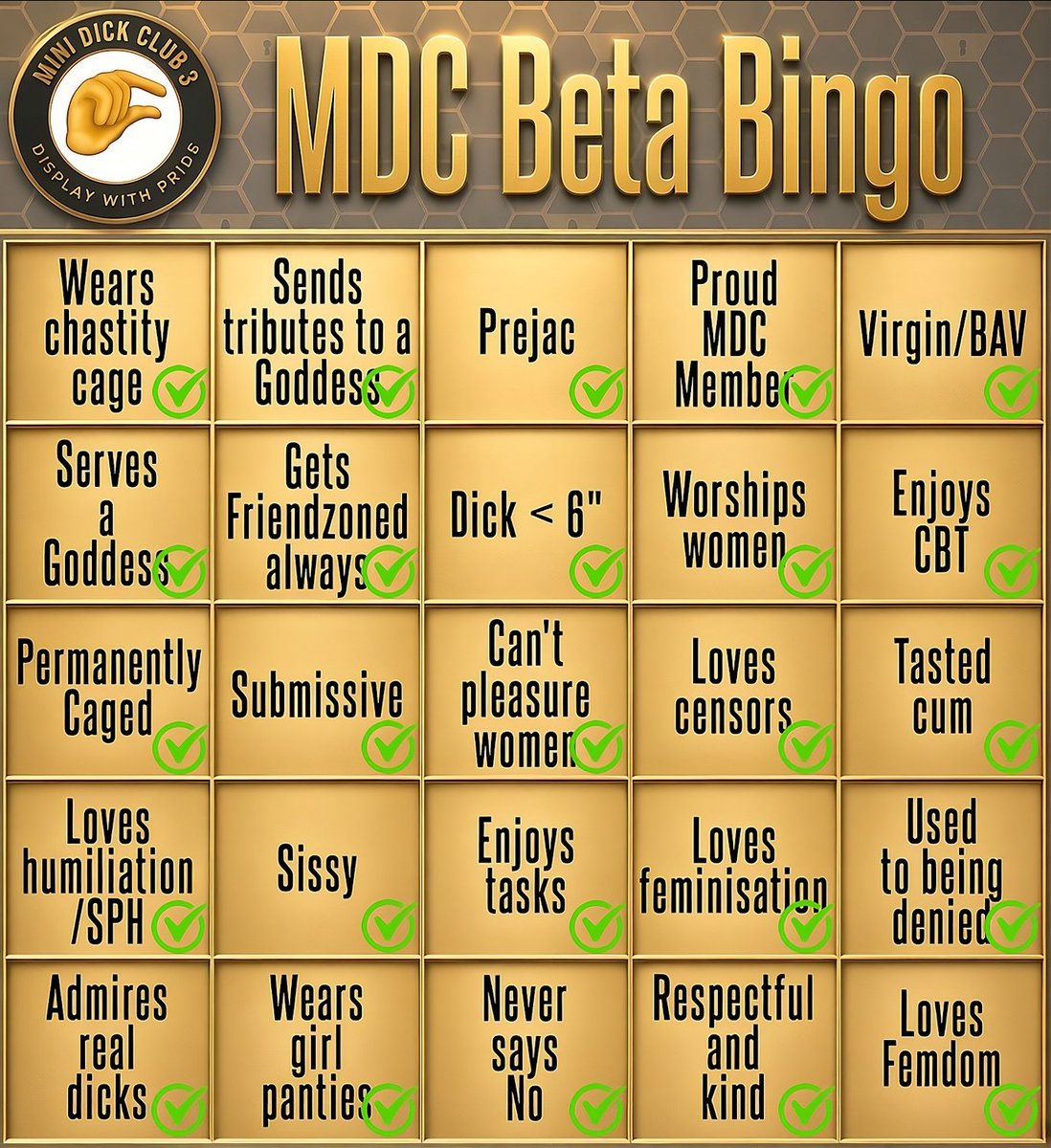 JunaHOLE's tweet photo. @MiniDickClub Greetings Goddess Queen Doctor and Mistress Jessica ! 🧎‍♂️
⭐️ I got a final score of 25/25 on your great MDC Beta Bingo !
✏️ I don't really know what else to say so I dared to post explanations about my score below... Thank you so much for this task, my Queens ! https://t.co/XWhqkrIJRo