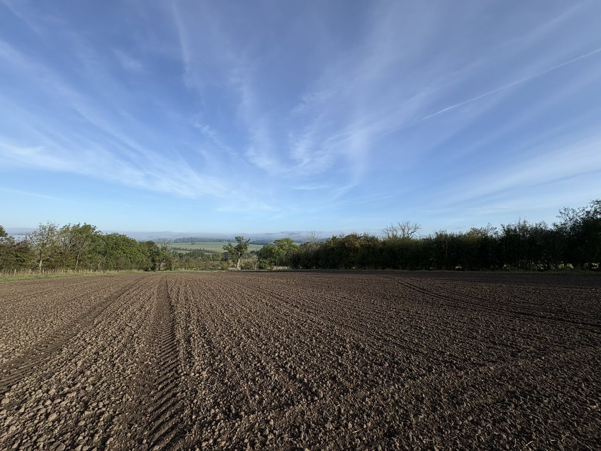 Agronomysilvers's tweet photo. Good Morning and what a morning Winter wheat in the ground and pre-em on last week @Bayer4CropsUK @AdamaUK_ @NichinoUK @AgriiUK #cropwalking #viewsformiles #bestjobintheworld https://t.co/T8OLx0TuFG