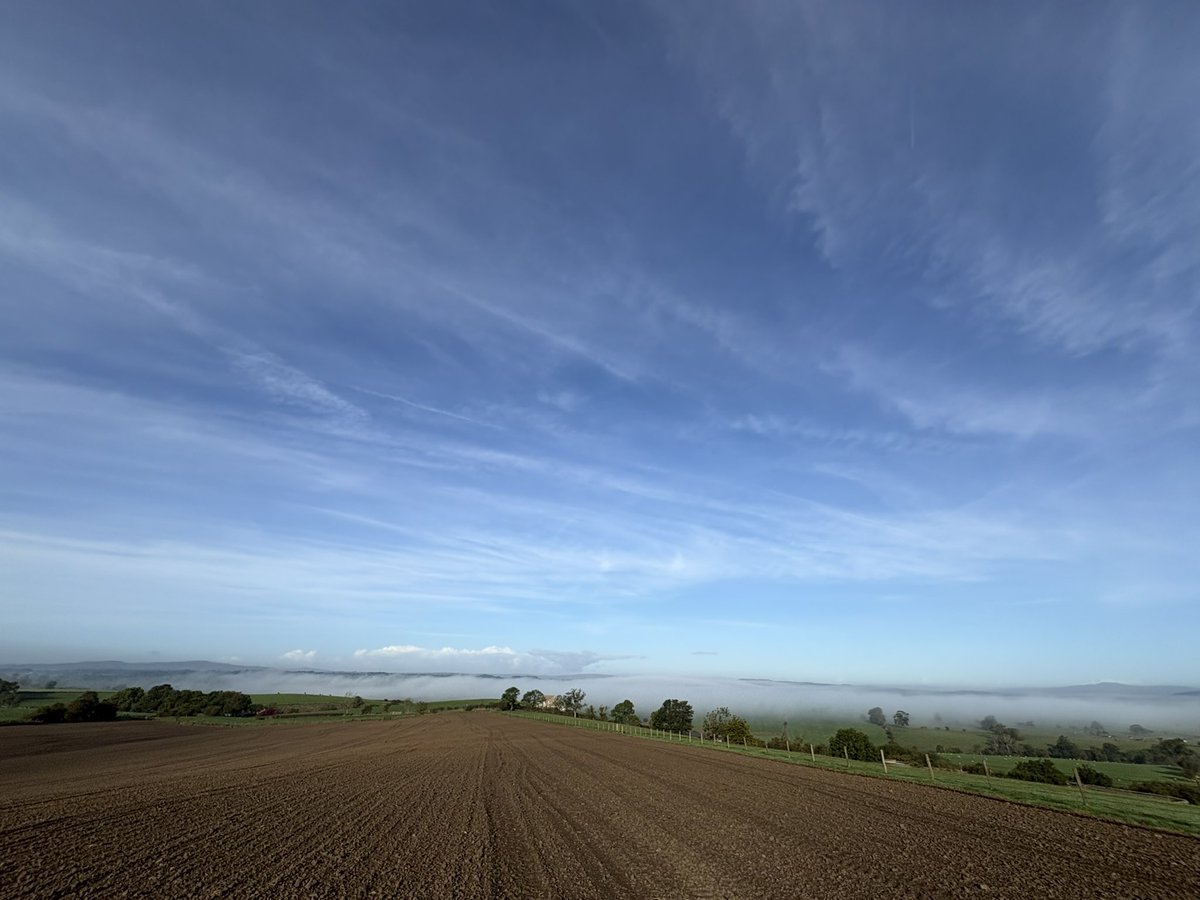 Agronomysilvers's tweet photo. Good Morning and what a morning Winter wheat in the ground and pre-em on last week @Bayer4CropsUK @AdamaUK_ @NichinoUK @AgriiUK #cropwalking #viewsformiles #bestjobintheworld https://t.co/T8OLx0TuFG