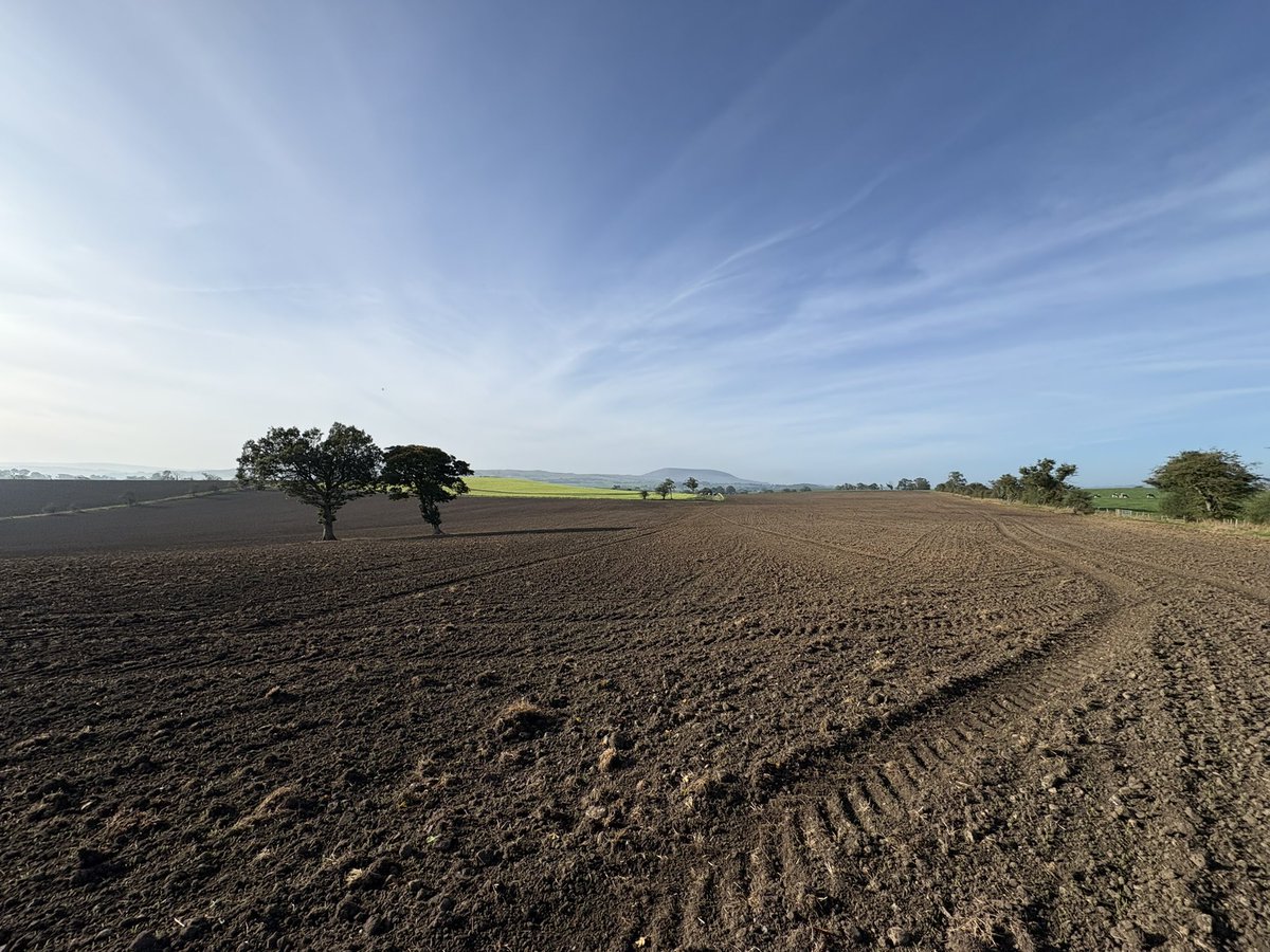 Agronomysilvers's tweet photo. Good Morning and what a morning Winter wheat in the ground and pre-em on last week @Bayer4CropsUK @AdamaUK_ @NichinoUK @AgriiUK #cropwalking #viewsformiles #bestjobintheworld https://t.co/T8OLx0TuFG