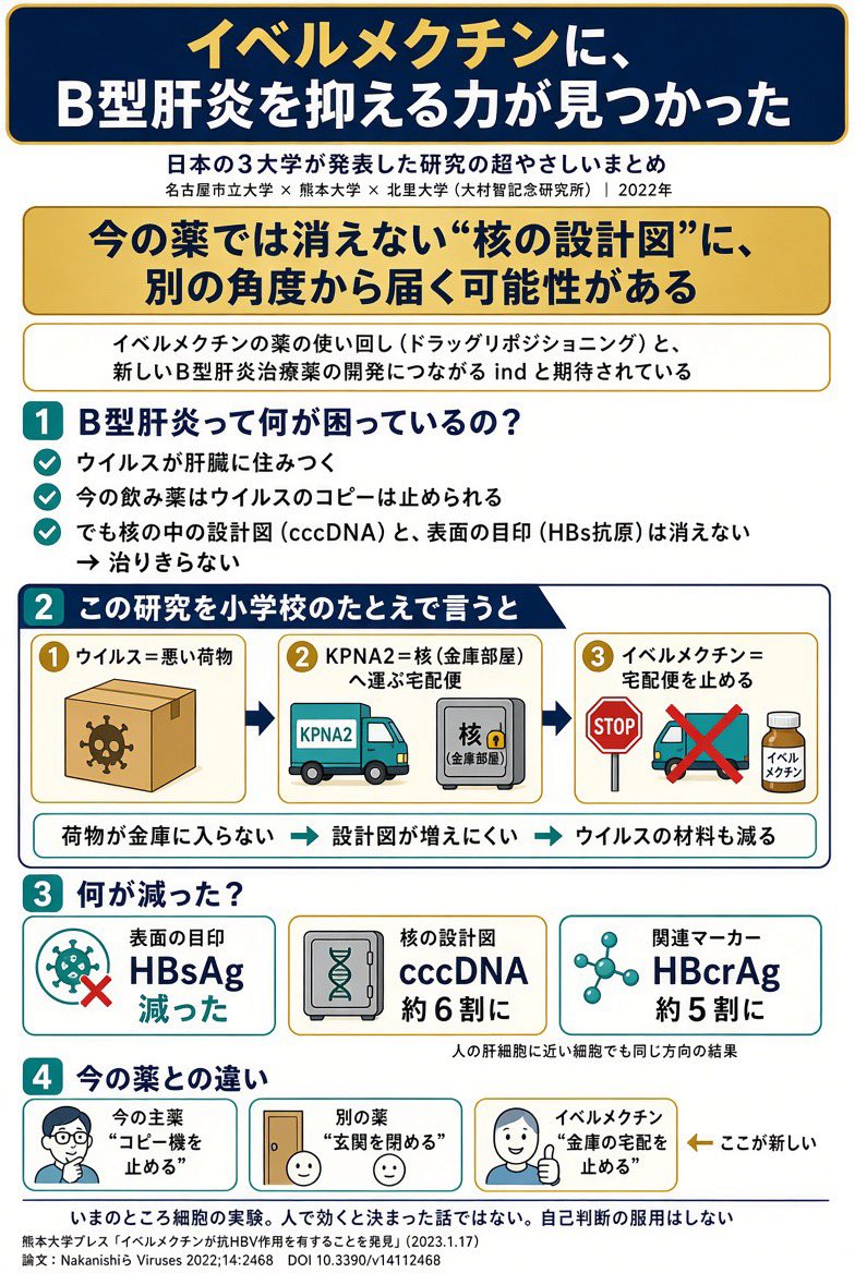 hikaru1032's tweet photo. イベルメクチンが抗HBV（B型肝炎ウイルス）作用を有することを発見 | 熊本大学

「イベルメクチンがRNAウイルスの複製抑制だけでなく、DNAウイルスであるHBVに対しても抑制作用があることを発見」
https://t.co/GeS2LpQP3Q https://t.co/Rr34o1ylQj