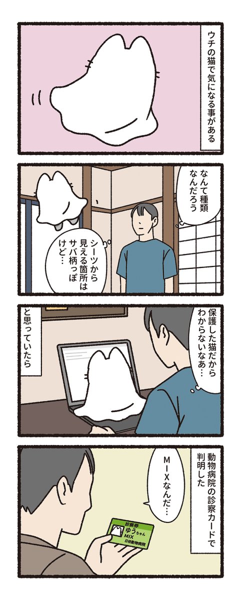 pandania0's tweet photo. シーツをかぶったかわいい猫（1/3） https://t.co/cXUmEARYVN