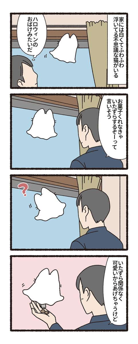 pandania0's tweet photo. シーツをかぶったかわいい猫（1/3） https://t.co/cXUmEARYVN