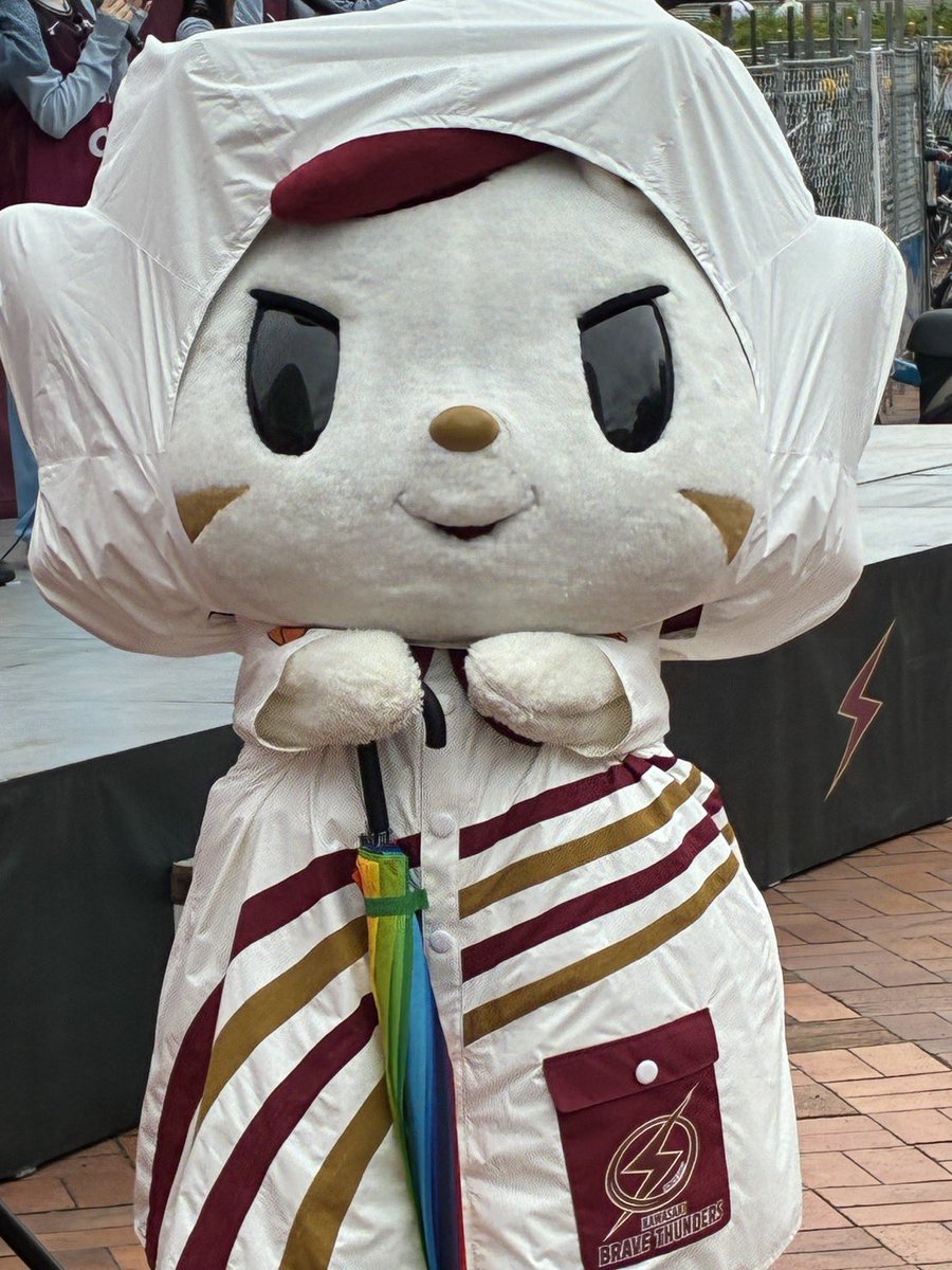 terutoma29's tweet photo. ロウルのカッパ姿
かわいすぎる💕
毎回、屋外でショーがあるのも
よきよき‼️
川崎のみなさんも優しいし、アウェイで
大好きな場所のひとつ。
#ロウル　#川崎ブレイブサンダース https://t.co/xjt02yFUPW