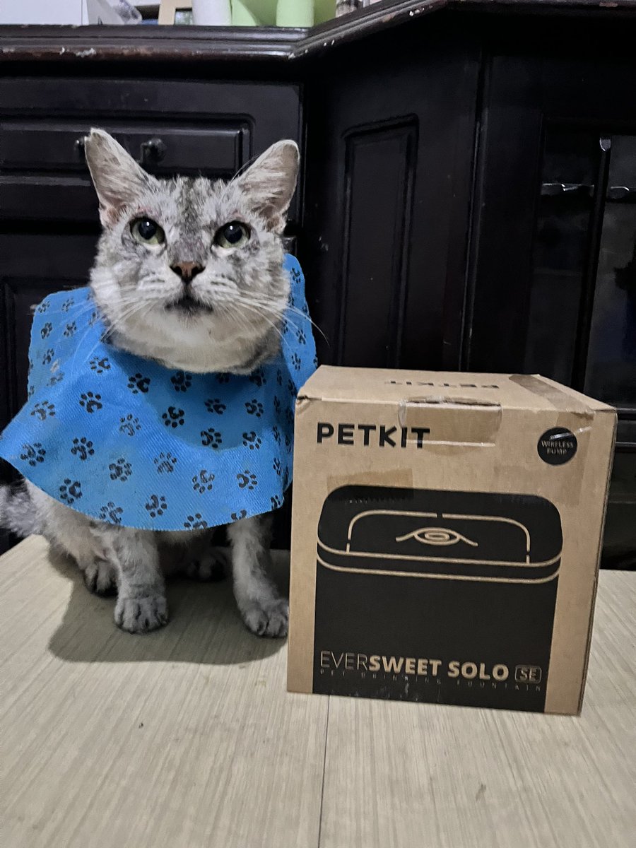 enernad's tweet photo. ❗️bantu RT dan likesnya ya pawrents🫶🏻

WTS/JUAL PETKIT Eversweet Solo SE Water Fountain

- masih baru, belum pernah dipakai
- dijual 500rb (nett)
- lokasi Jaktim (bisa COD)

dijual untuk bantu biaya bolang berobat dan perawatannya. minat HMU ya🤍🤍🤍 https://t.co/BAlZZFG3am