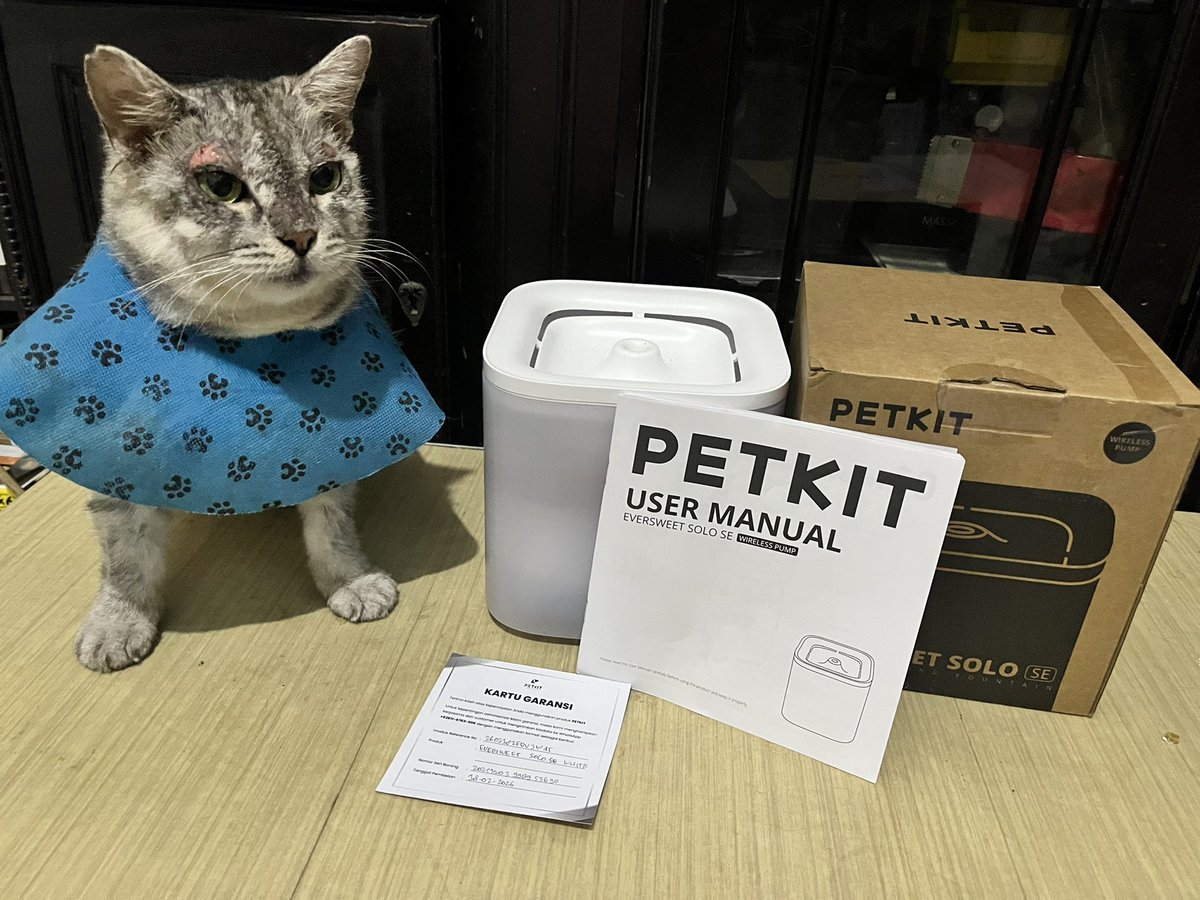 enernad's tweet photo. ❗️bantu RT dan likesnya ya pawrents🫶🏻

WTS/JUAL PETKIT Eversweet Solo SE Water Fountain

- masih baru, belum pernah dipakai
- dijual 500rb (nett)
- lokasi Jaktim (bisa COD)

dijual untuk bantu biaya bolang berobat dan perawatannya. minat HMU ya🤍🤍🤍 https://t.co/BAlZZFG3am