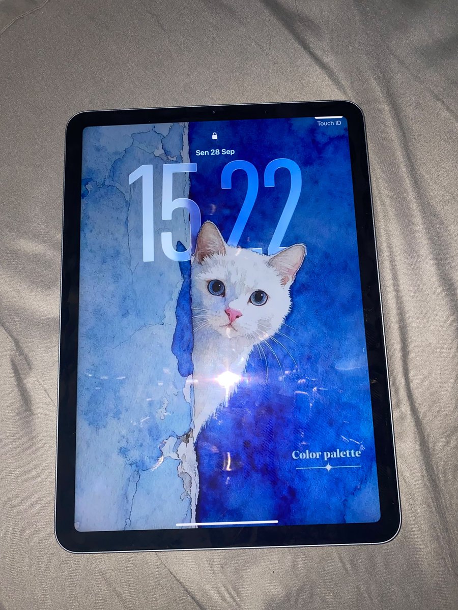 subsashimi's tweet photo. #wts #malang 
IPAD AIR 4 256gb

di jual
Ipad Air 4 
Storage 256gb
Kamera D/B aman
Fingerprint aman
semuanya masih bagus
no minus 
mulus poll
📍COD MALANG 
FREE Keyboard Case+Case biasa https://t.co/kdy5HIzX1B