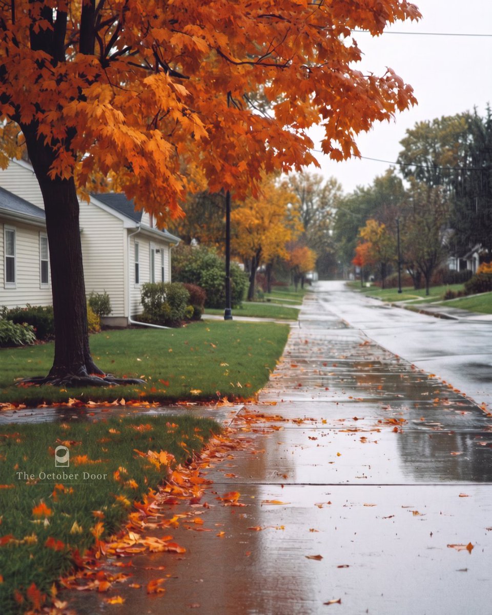 theoctoberdoor's tweet photo. nothin' quite like the smell after a fall rain… https://t.co/q4fHN04VxH