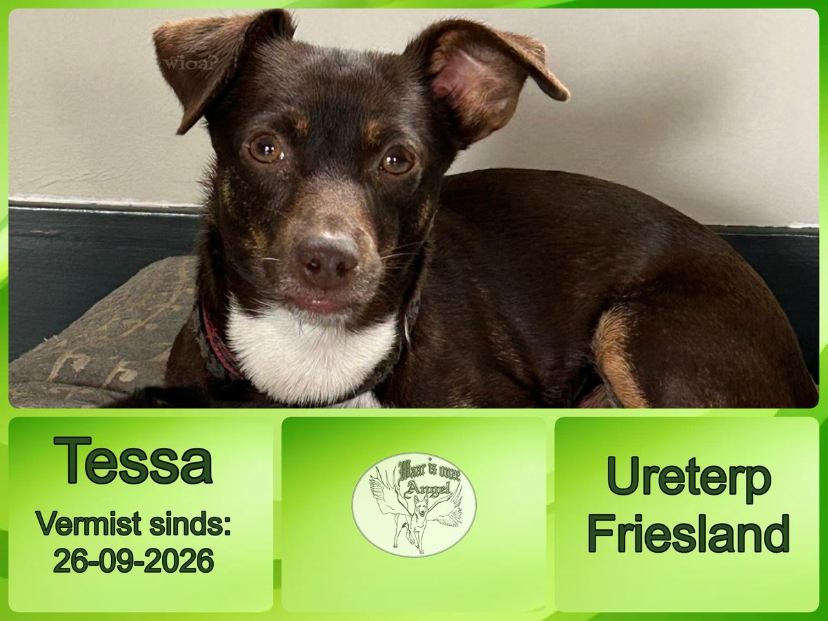 waarisonzeangel's tweet photo. Tessa #Vermist sinds 26-09-2026 te #Ureterp #Friesland
https://t.co/YbSWGts2Cc https://t.co/eBaLQFdqmS