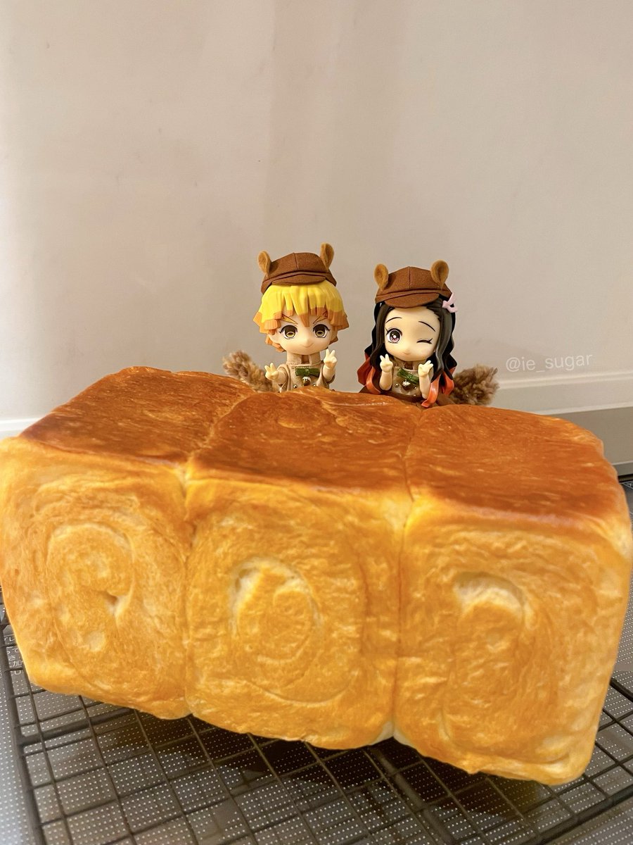ie_sugar's tweet photo. 今日のぜんねずちゃん
食パン焼きました🍞★ https://t.co/rjm1N8RgUD