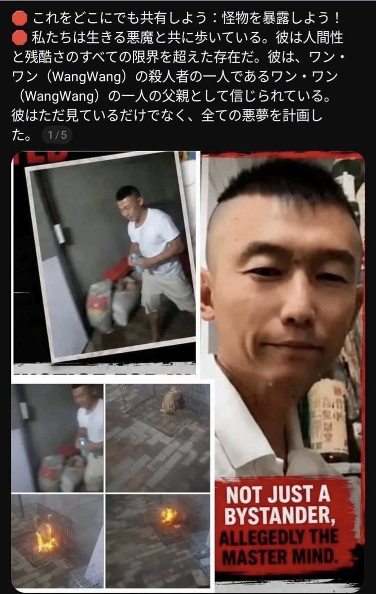 Tu1L7q4EeF79rqO's tweet photo. ＃中国に動物愛護法の制定を
＃旺旺を忘れない
＃拡散
キチガイの🐎🦌親‼️💢ガキ達に拷問のやり方を伝授し、道具を揃えた。インキンタ虫みたいな顔しやがって‼️💢
ワンワン達を返せ‼️💢 https://t.co/RgWsavGI7o