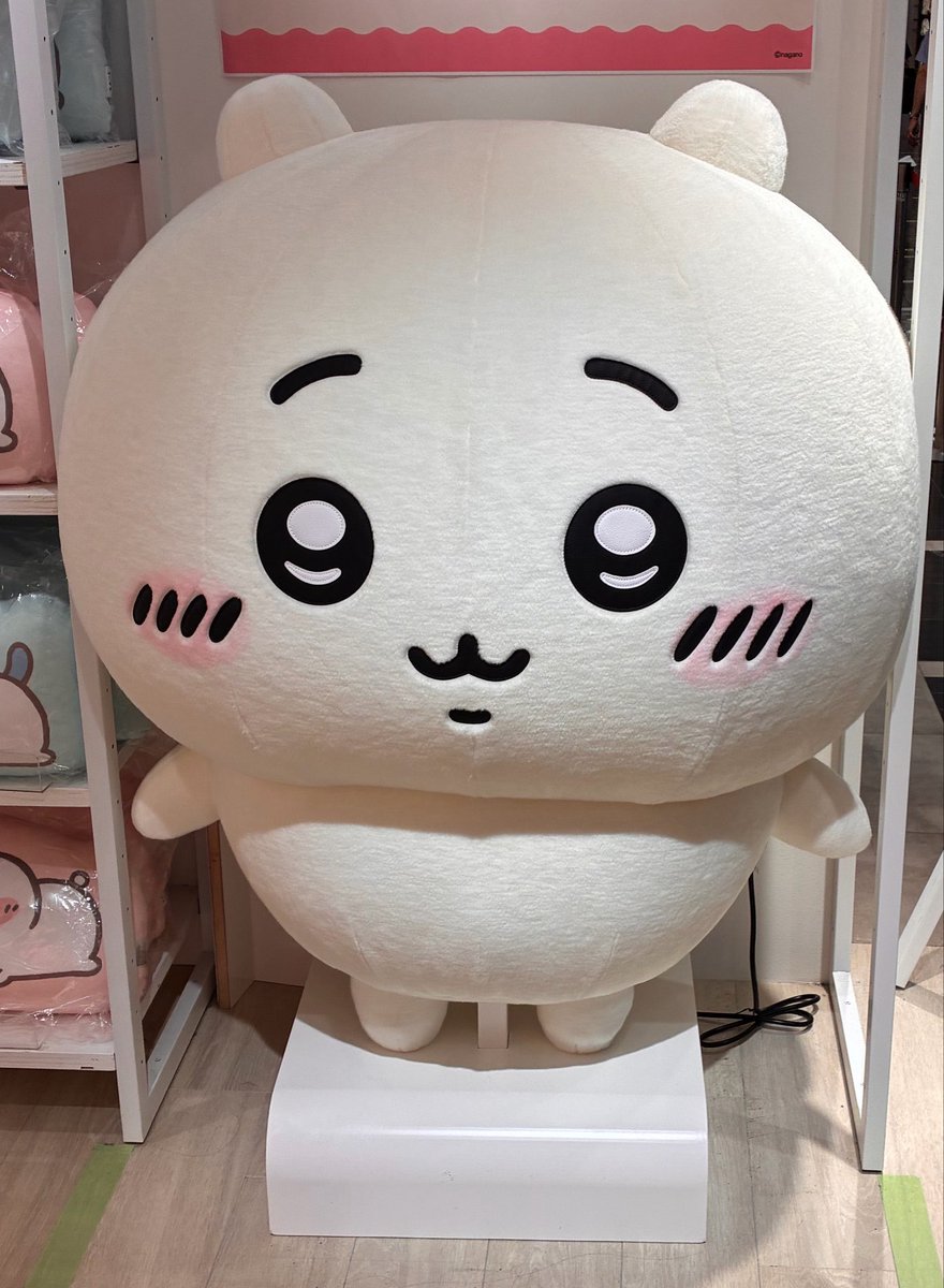 ba_mooko's tweet photo. もちっとしてる https://t.co/nE3xCrHnbc