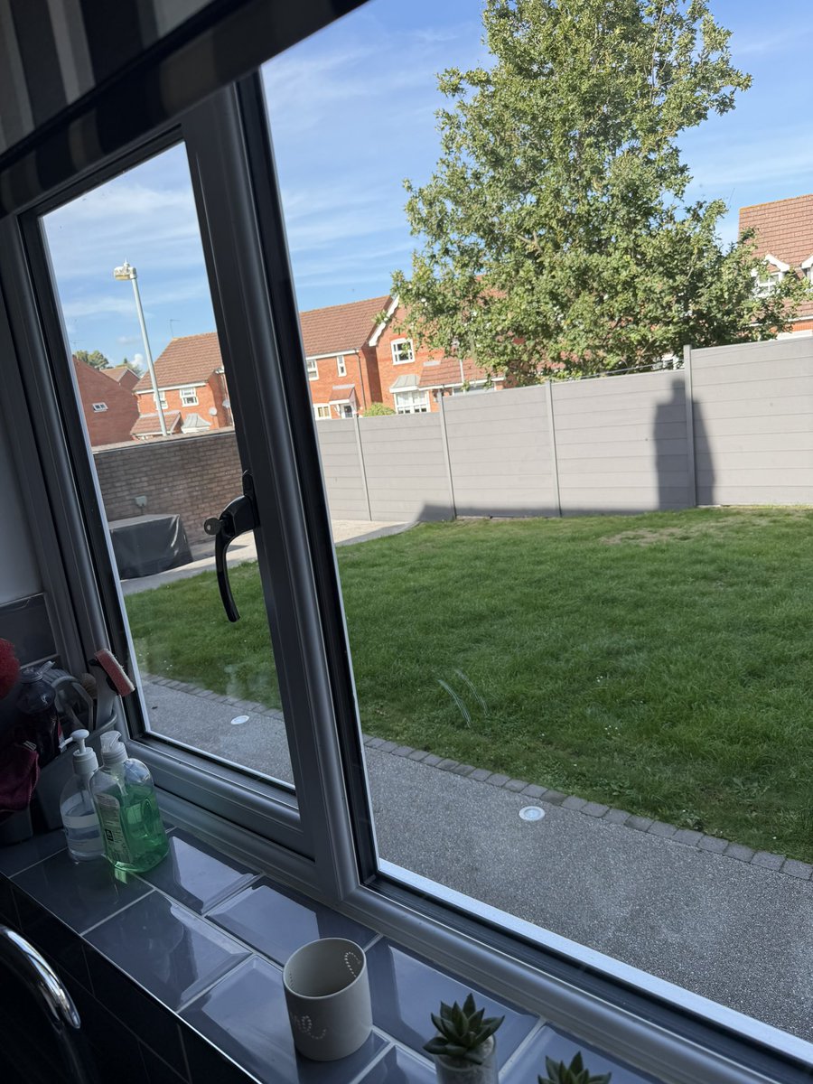 AlexKTalks tweet picture