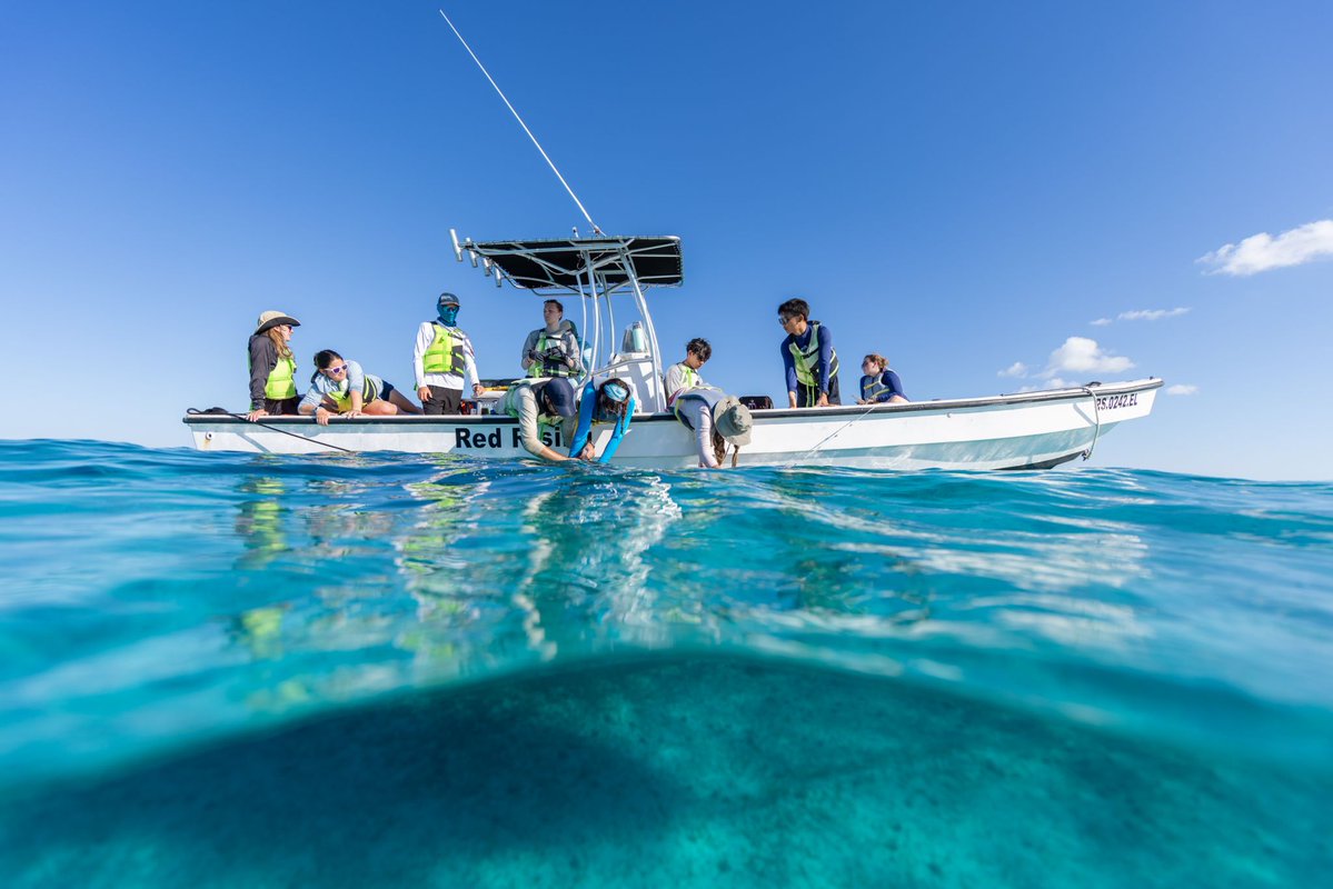 SatlinkSL's tweet photo. 🌊 Project #ReCon reaches The Bahamas 🇧🇸 !

Cape Eleuthera Institute joins #Satlink’s international network as its 8th local partner, now spanning 25 territories and more than 75,000 km of coastline.

👉 https://t.co/9RlGDacYzj https://t.co/RLqJ1mLvlS