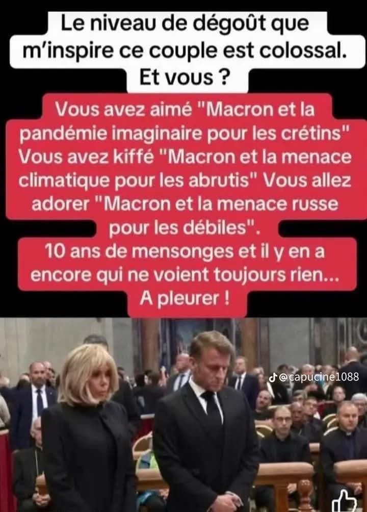 danubaud's tweet photo. Et il va à la messe du Pape finalement 🐀🚽 https://t.co/cnfH9jIWit