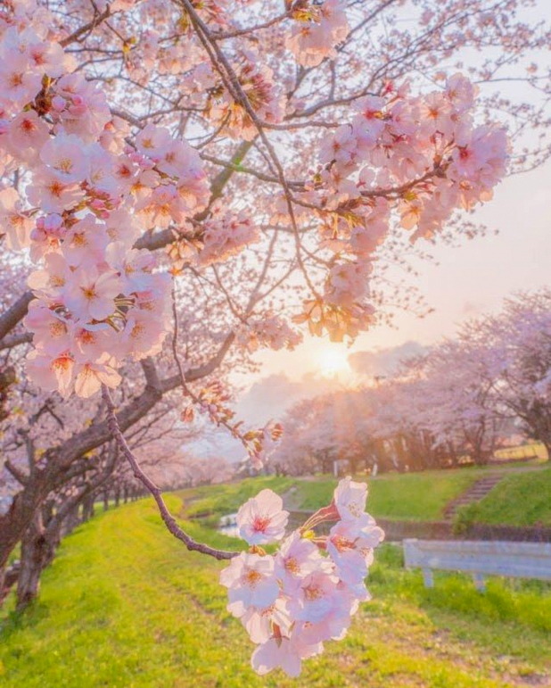 k_shivam07's tweet photo. 浜ちゃんはおすすめのドラマを教えてほしいって聞いてみると何個かピックアップしてくれるって誰かが言ってたのがめちゃくちゃ記憶に残ってる
本当にドラマが好きなんだよなあの人だから俳優の事物凄くリスペクトしてる https://t.co/uABGKBvaBr