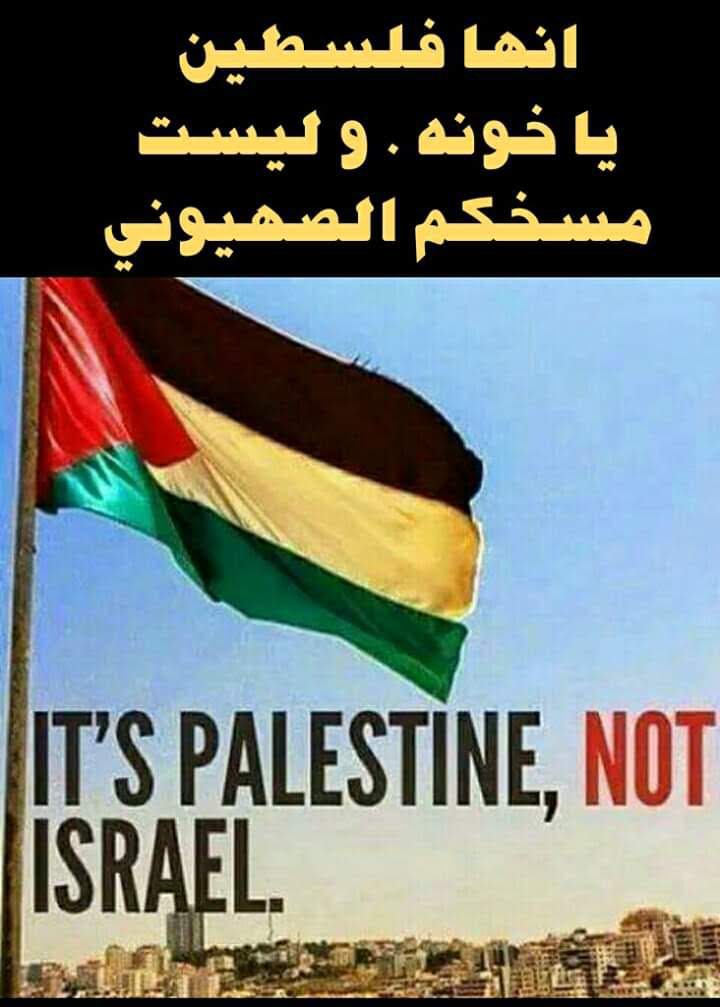 kefatare66's tweet photo. https://t.co/pn4t2OgHMZ