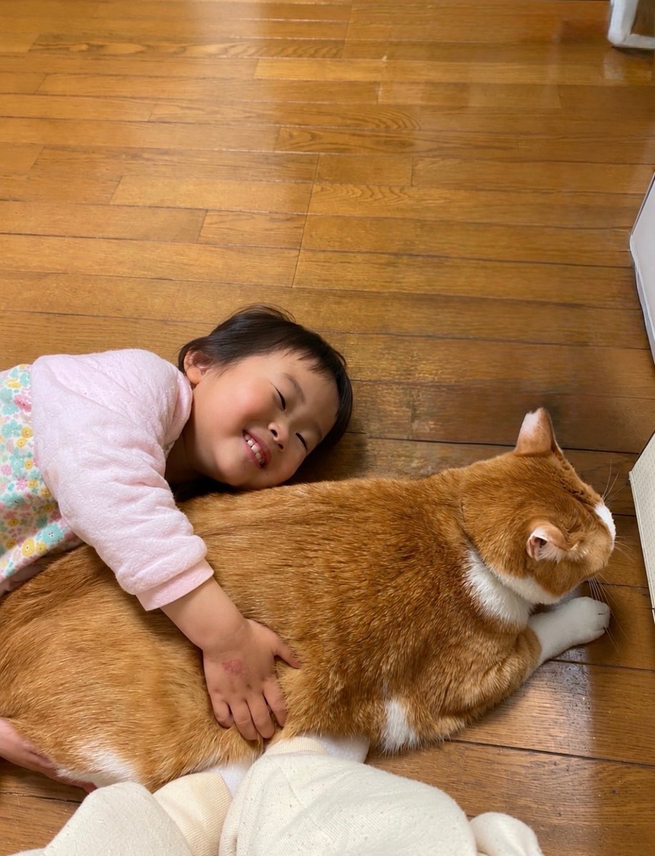 yopich_'s tweet photo. でかい。とにかくでかい。 https://t.co/UBjg78oqyj