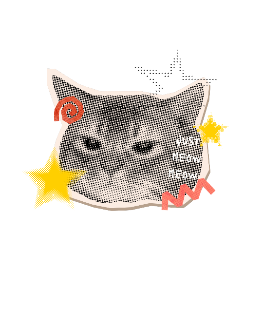 itstinks_'s tweet photo. A cat ⋆౨ৎ˚⟡˖ ࣪ #png 
── . Personal use only ˚. ᵎᵎ https://t.co/luF8xP8mgy