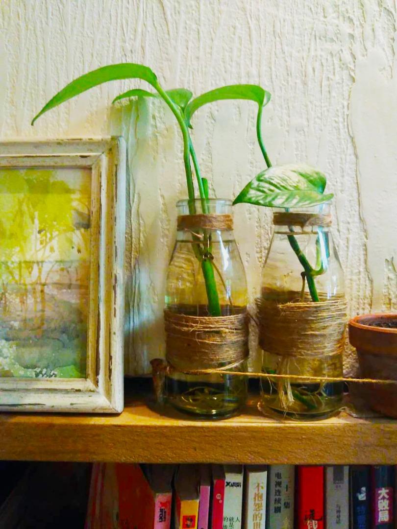 NelsonChalfuy's tweet photo. Upcycled old glass jars into stylish planters! Added cute rope handles u0026 a splash of neon paint – perfect for sprucing up your small plant nook. ， https://t.co/fOdFPWJZhF