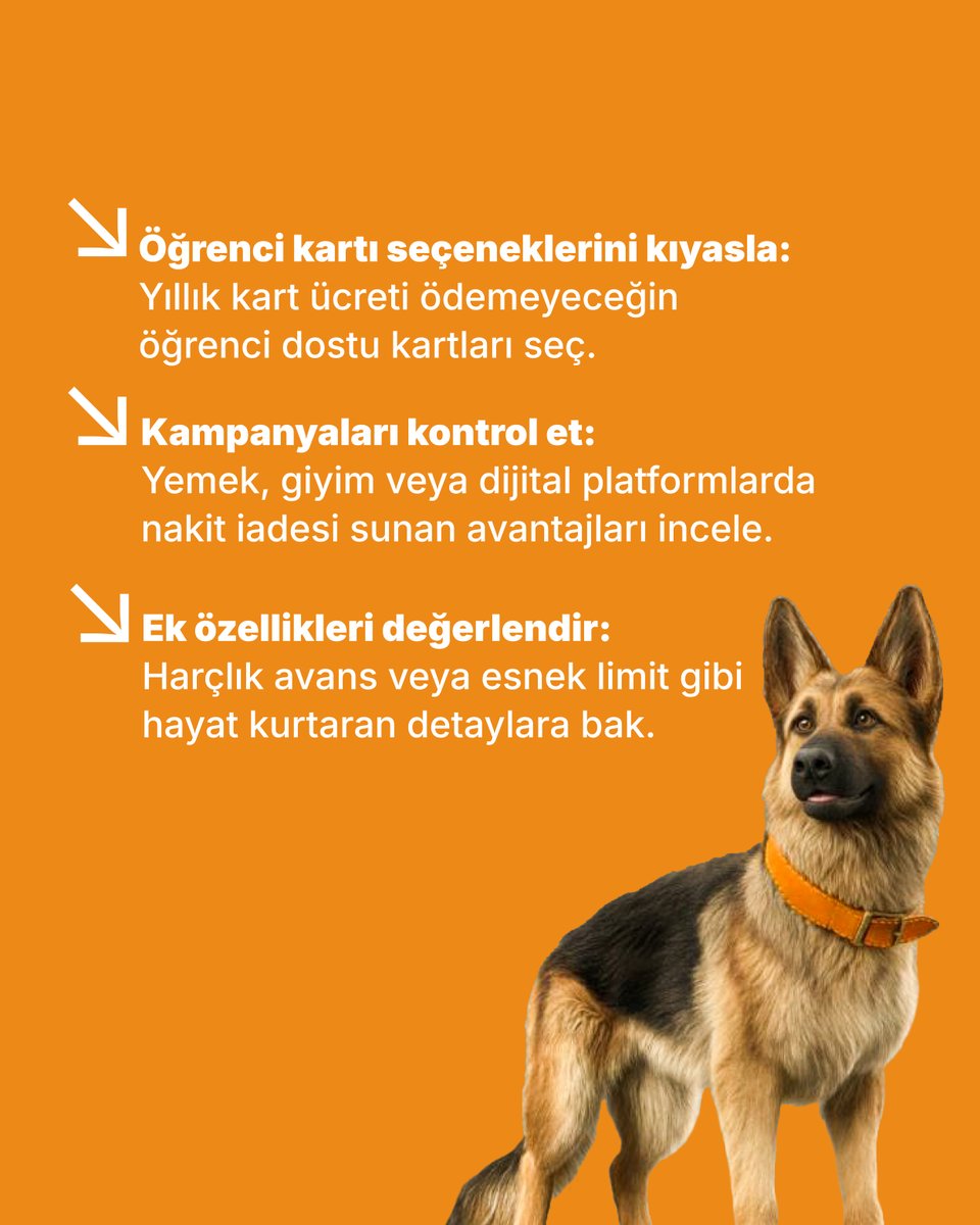 Hesapkurducom's tweet photo. Üniversitede bütçeni kontrol altında tutmak ilk kartını doğru seçmekle başlar.  Öğrencilere özel teklifleri Hesapkurdu’nda kıyasla, bütçene en uygun fırsatı hemen yakala! 🎓💳

#ÖğrenciKartı #ÜniversiteHayatı #Hesapkurdu #FinansalOkuryazarlık https://t.co/w2CV18BdRa