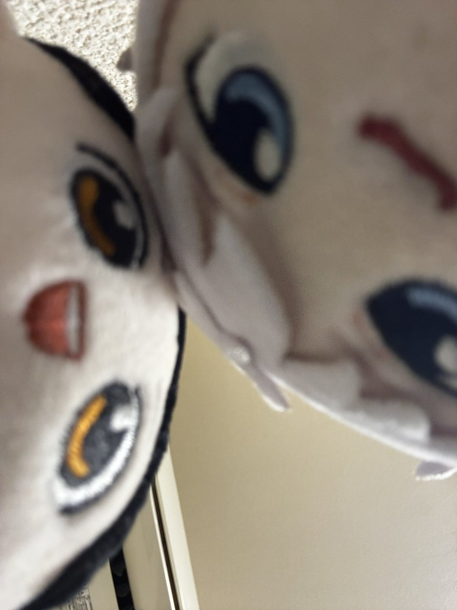 az9926's tweet photo. ぬいバカ可愛くてこれ https://t.co/y7jBqXLfxT