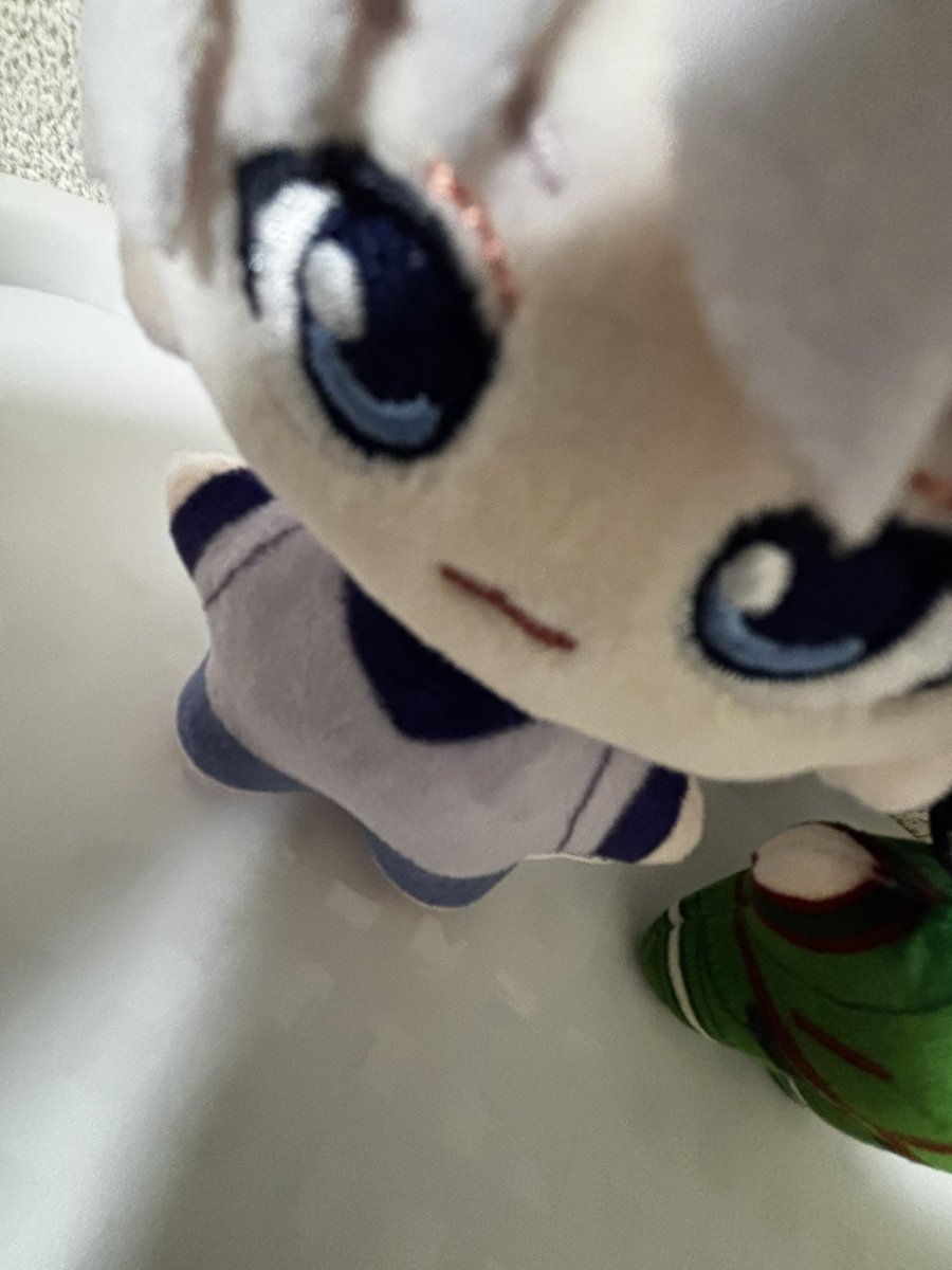 az9926's tweet photo. ぬいバカ可愛くてこれ https://t.co/y7jBqXLfxT