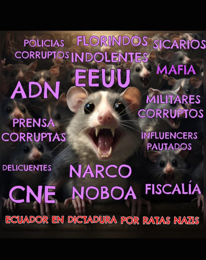 imsb39's tweet photo. @xavilucas1 @MashiRafael https://t.co/Skya9xBkR9