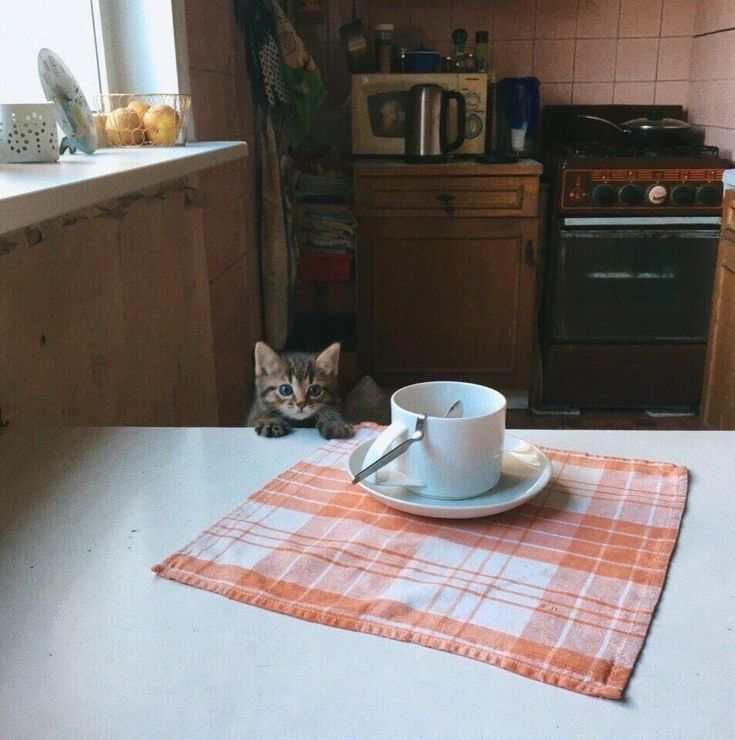 calmgloww's tweet photo. there's something beautiful about ordinary mornings https://t.co/DWO7aN0M0K