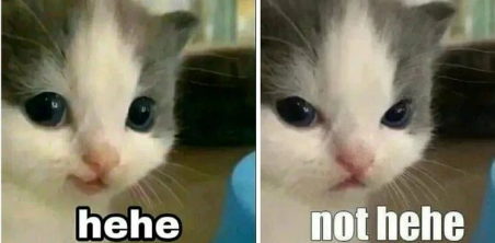 zeitz_victor's tweet photo. @chitititibird https://t.co/J1mevXzGhh