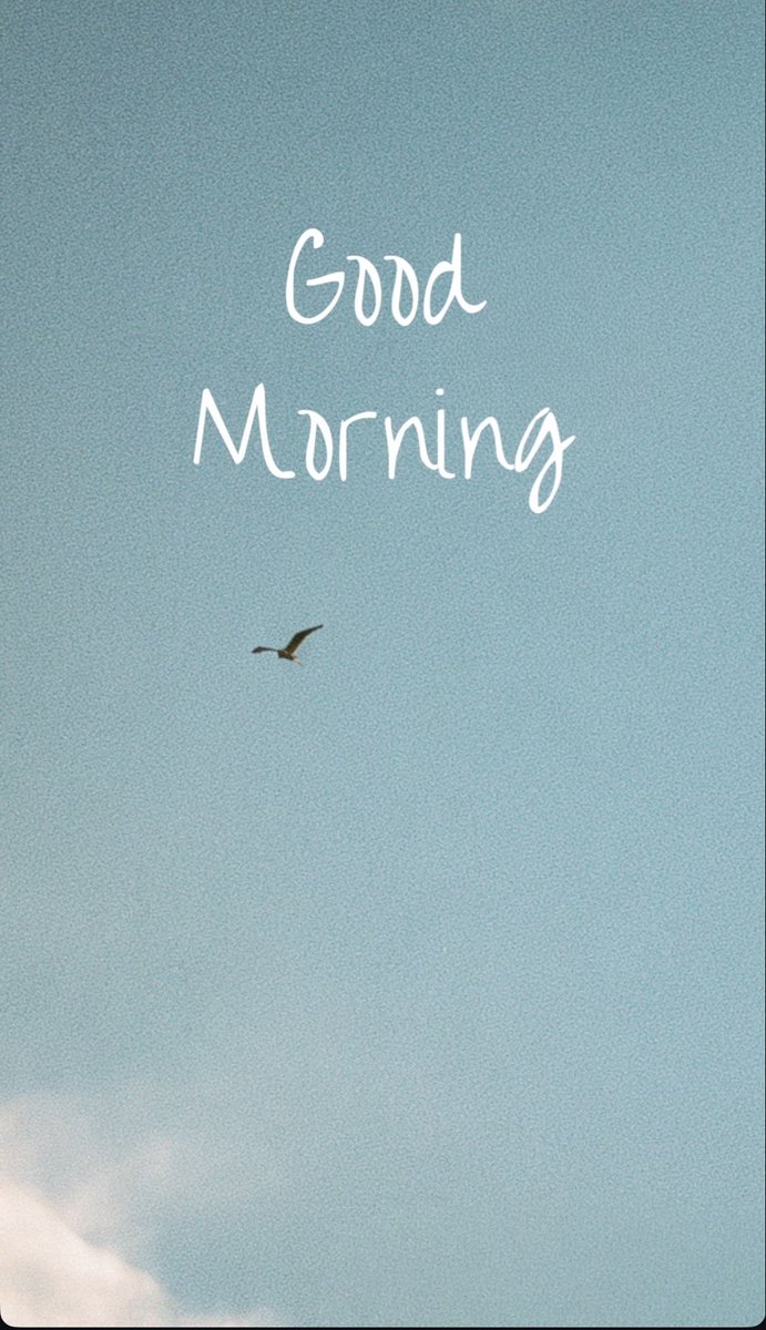 HFCreativeGroup's tweet photo. Good #MONDAY morning ☀️ https://t.co/ROfVaoRwn3