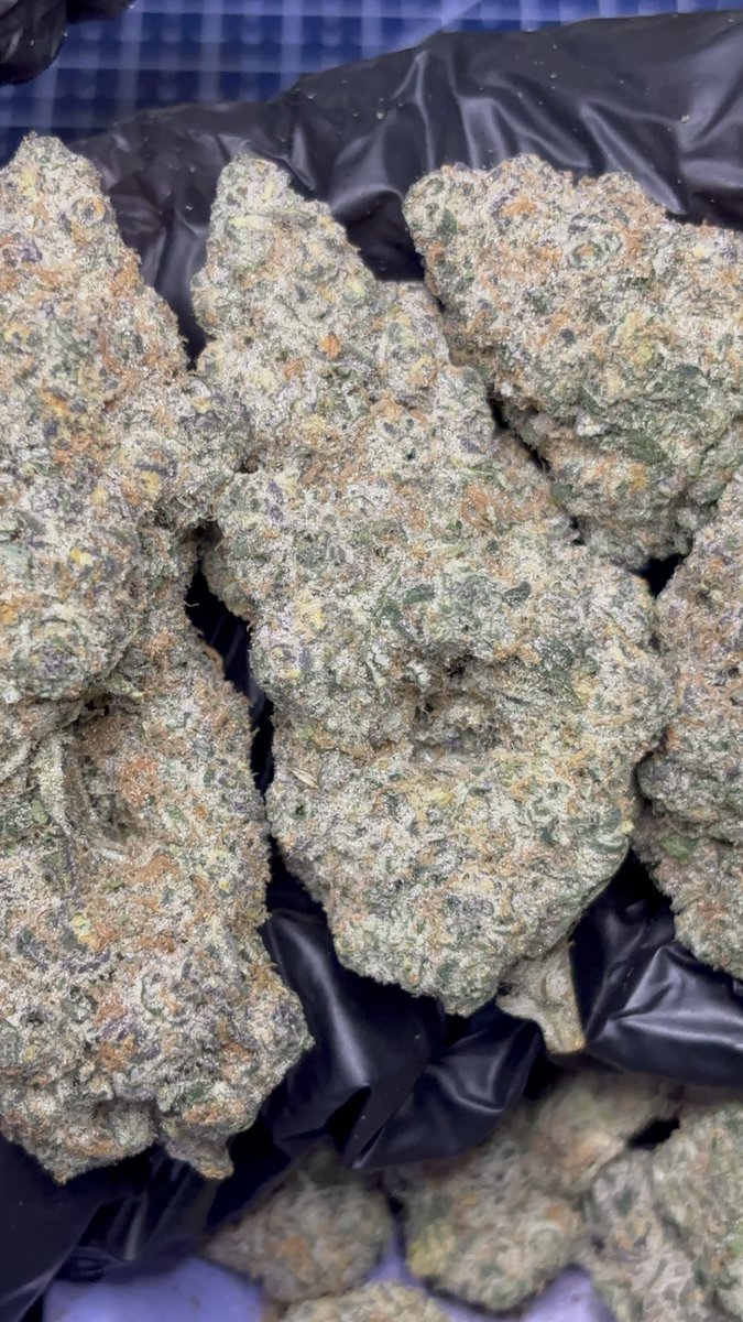 Rick420c137's tweet photo. ท้อปสวยๆพร้อมลั่น
#Funkush
#กัญชา #กัญชาog #กัญชาเสรี #กัญชากรุงเทพ #กัญชานอก #กัญชารังสิต #กัญชานนทบุรี #กัญชาเมืองทอง #เมืองทอง #กัญชาปากเกร็ด
#พันลําog https://t.co/LUWabbCTTU