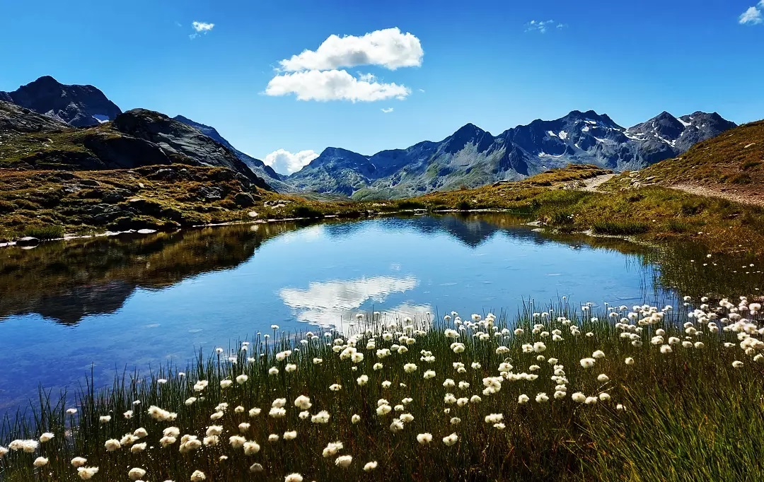 Haryy2010's tweet photo. #herrlicheberge
#bergliebe
#bergsee #wowandernamschönstenist
#bergwandern #bergpic
#beautifulmountains
#bergfieber #bergweg
#myswitzerland #schweizeralpen #schweiz #swissalps #magicmountains #bergfotografie
#wanderlust #wandermagazinschweiz https://t.co/zzP1th6Yi4